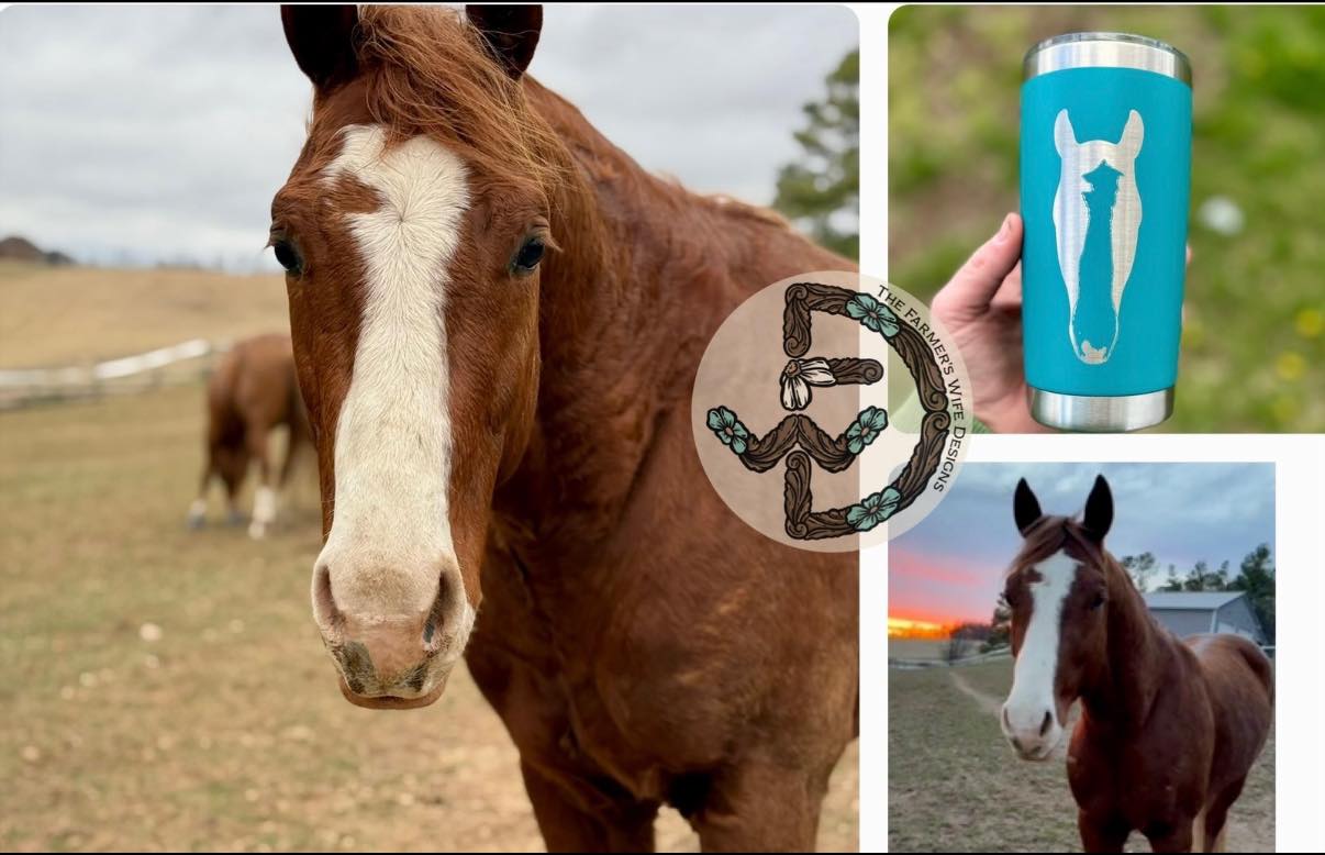 Horse Marking Tumbler