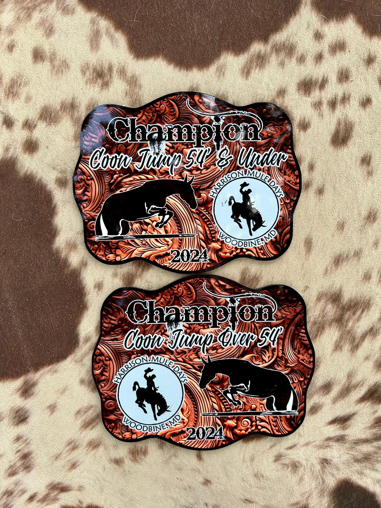 Full Color Buckle Awards