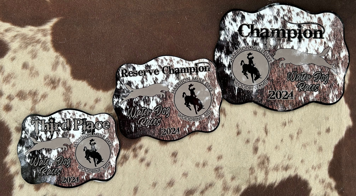 Full Color Buckle Awards