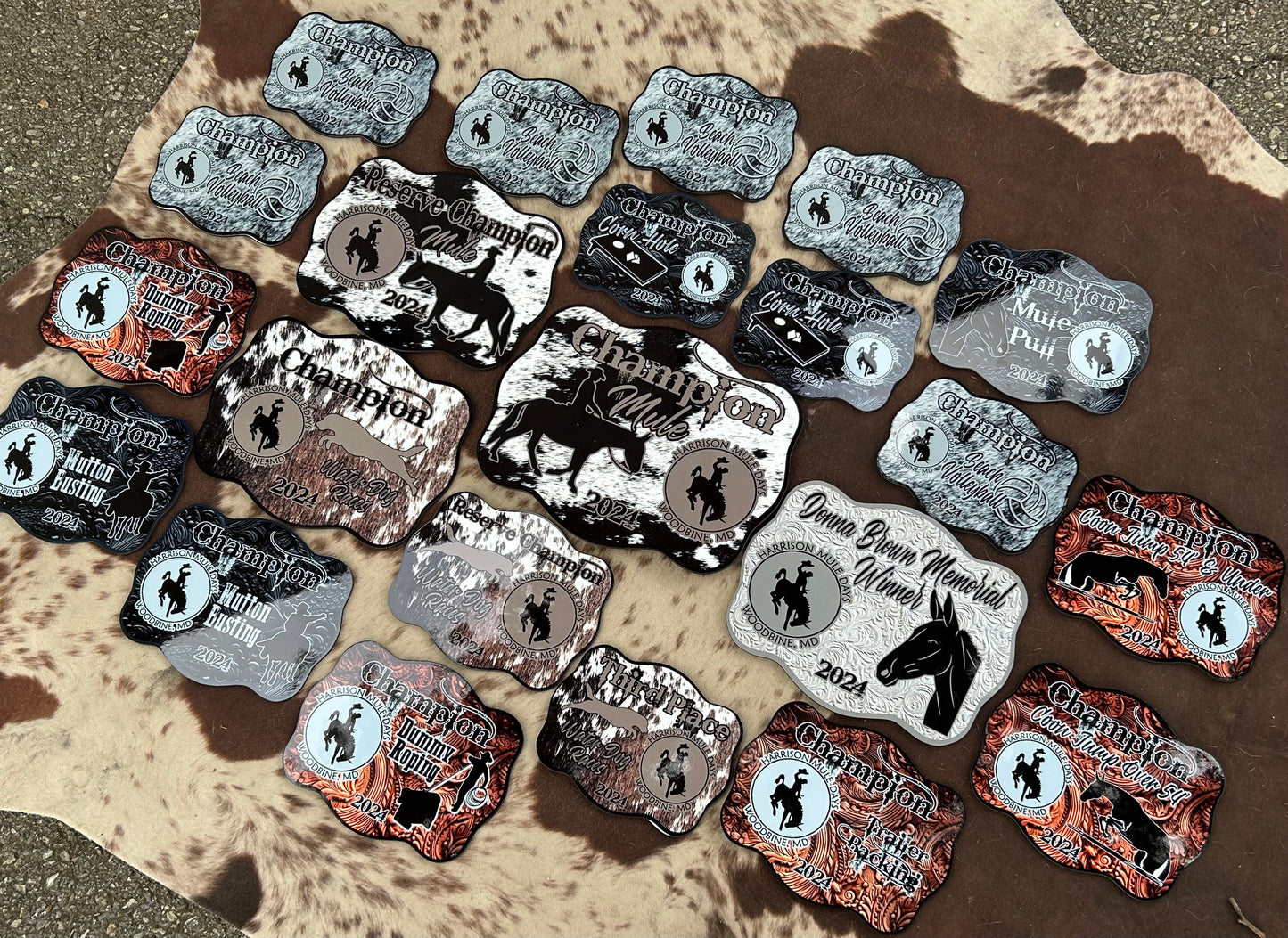 Full Color Buckle Awards