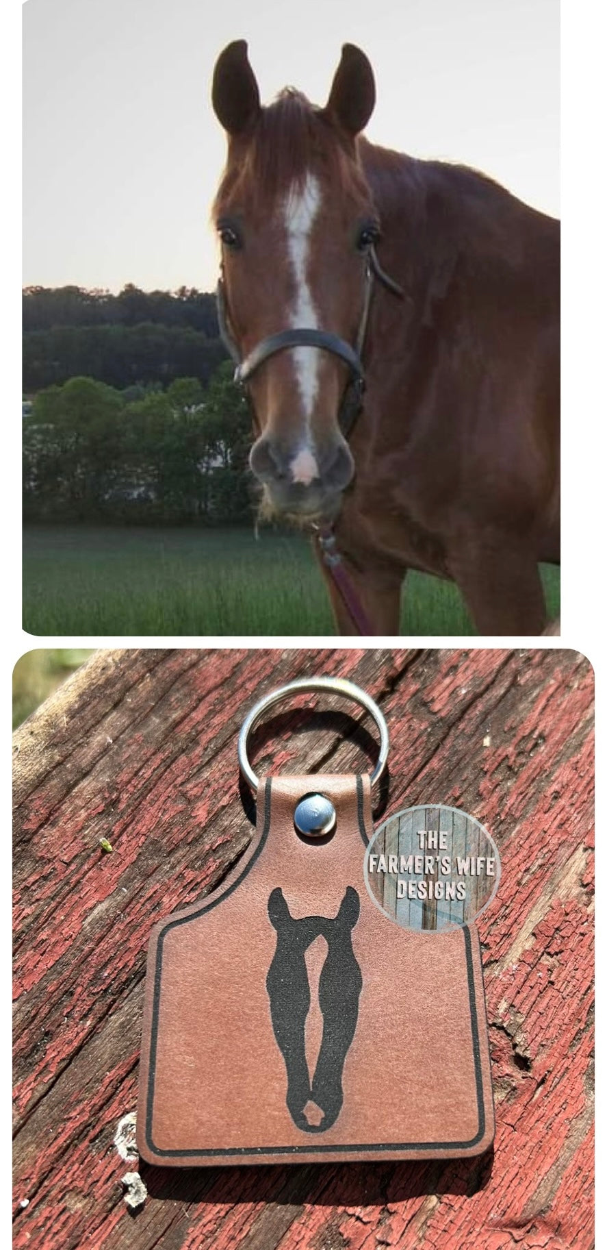 Hand Drawn Horse Marking Keychain