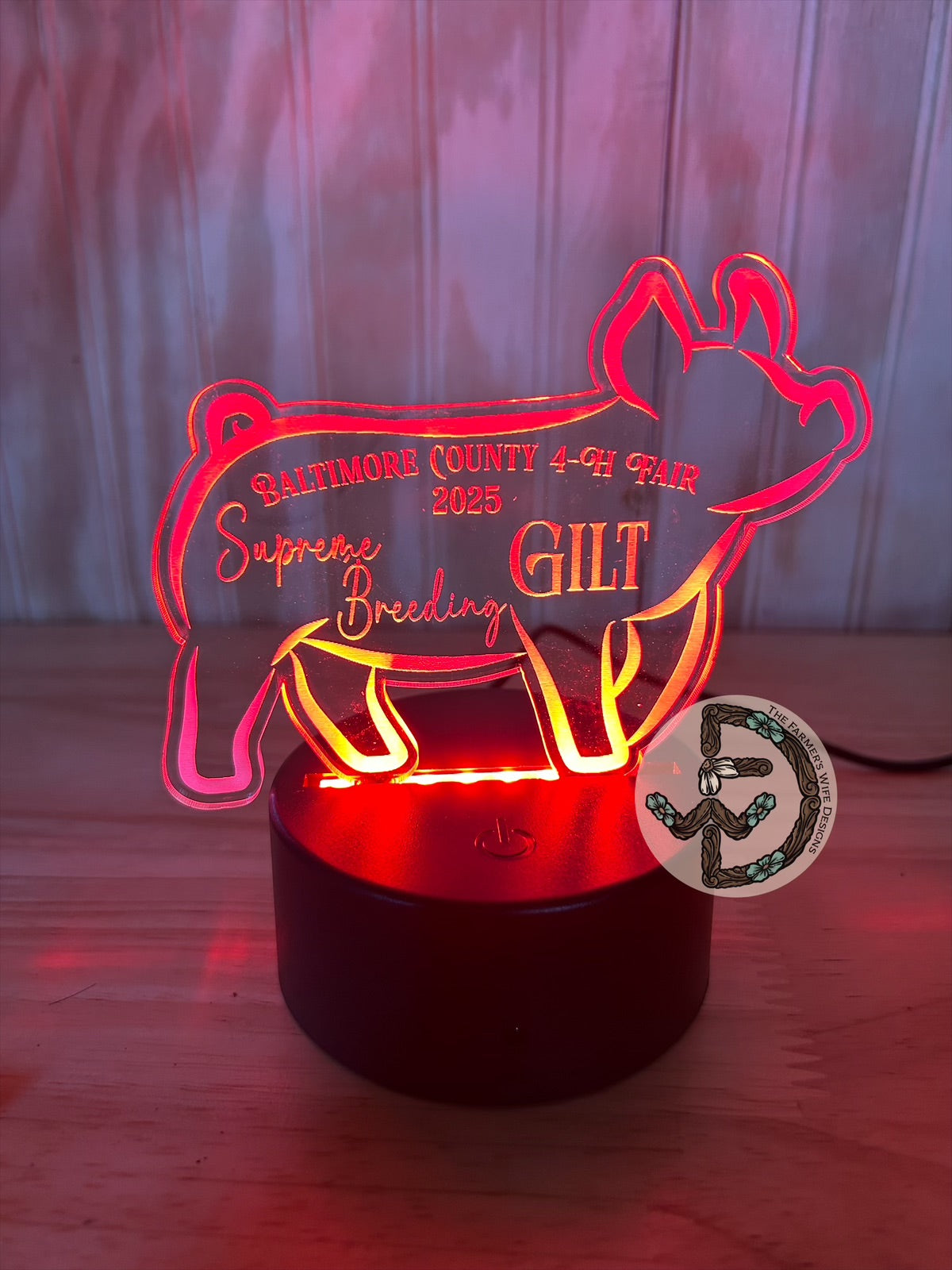 Custom Shape LED Lights