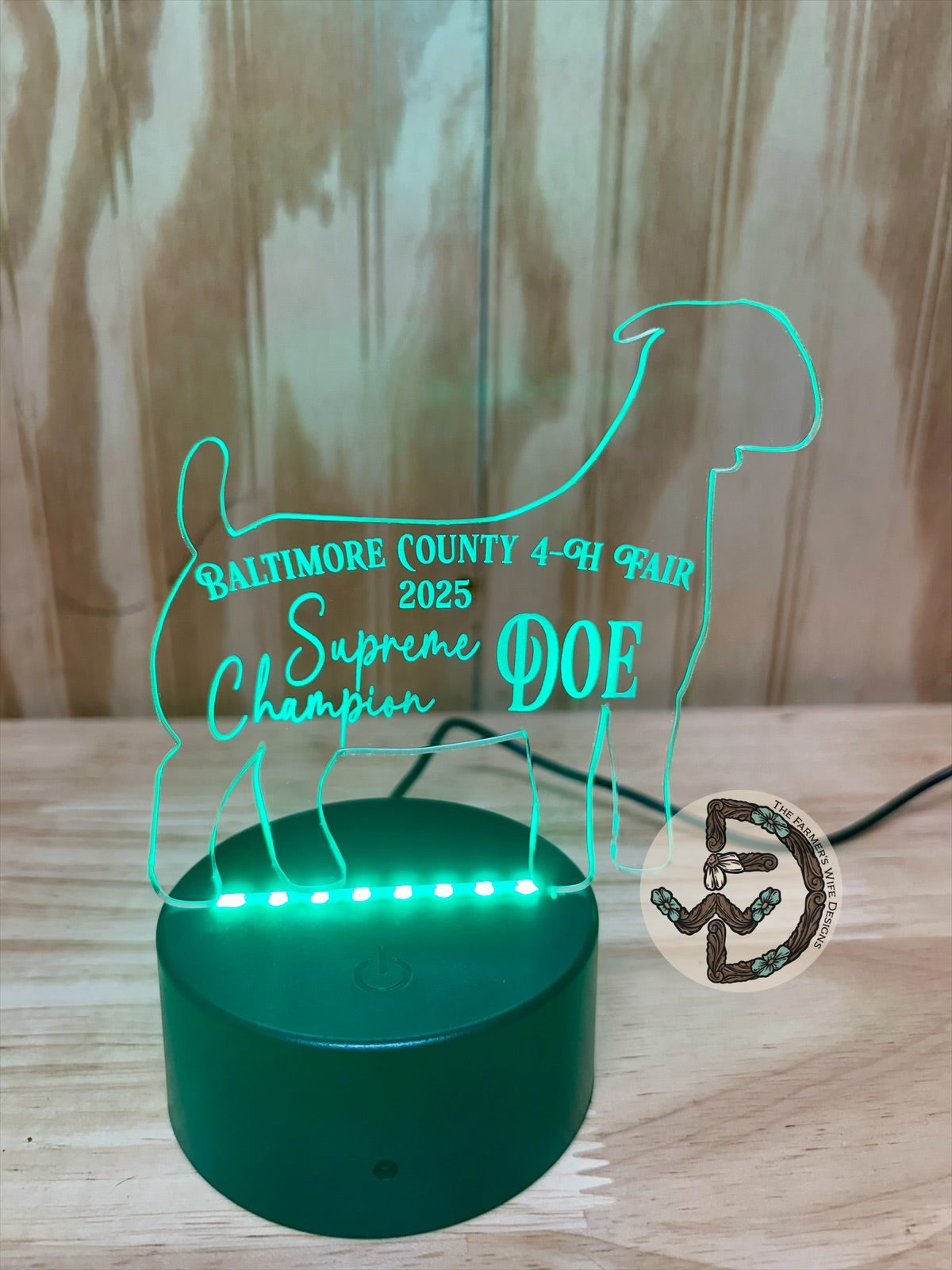 Custom Shape LED Lights